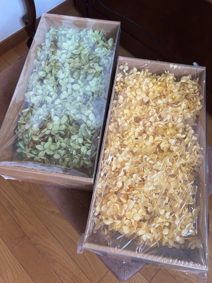 プリザーブドアジサイ大量2箱セット（緑・黄色）