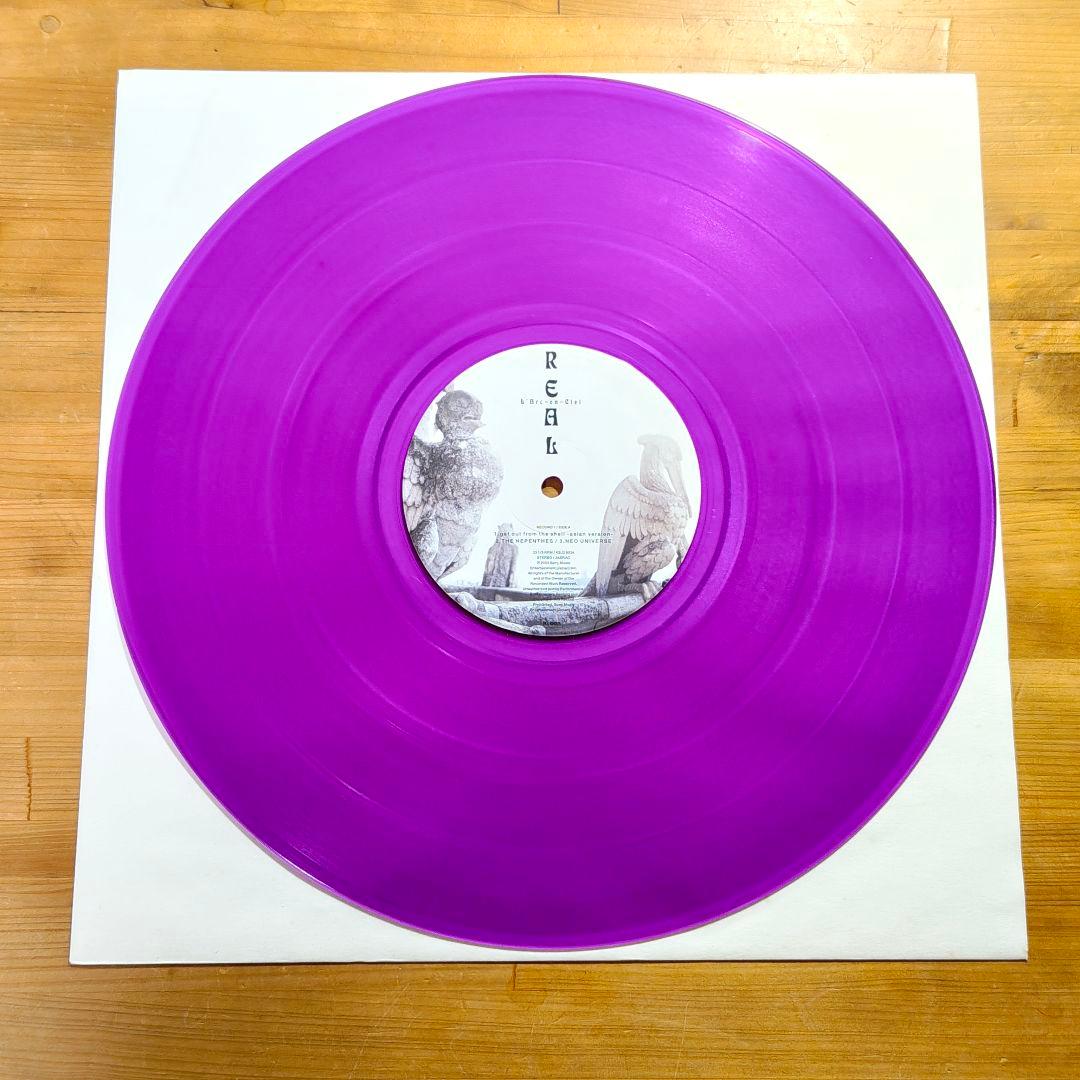 ラルク　L'Arc～en～Ciel REAL 2枚組アナログLPレコード