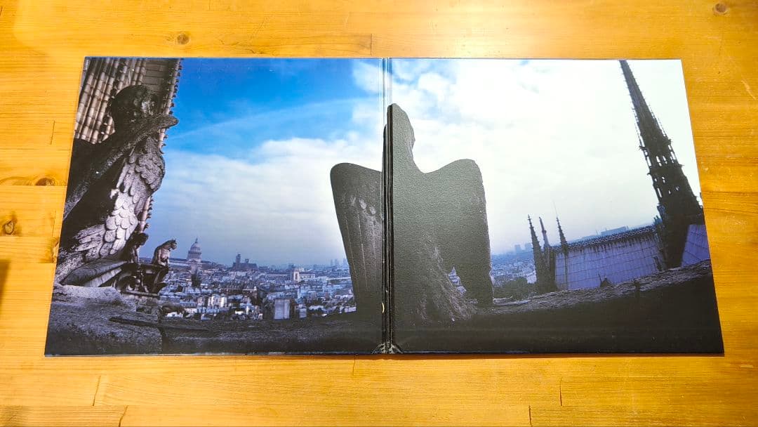 ラルク　L'Arc～en～Ciel REAL 2枚組アナログLPレコード