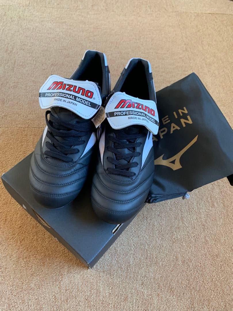 ミズノモレリア2Japan 25.5