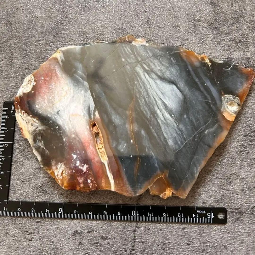 天然石　珪化木　スライス