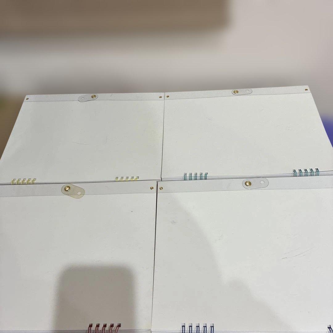 DWE EveryDay With Zippy ズィッピー　ジッピー　edwz