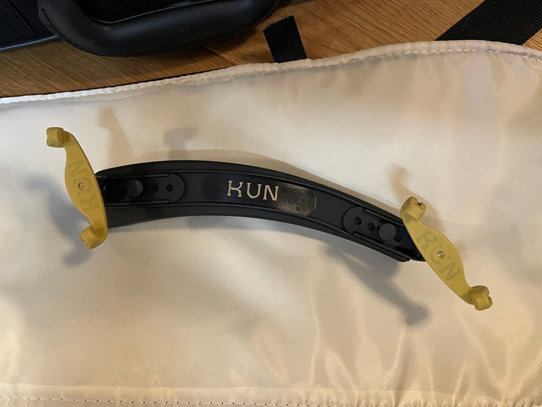 Eastman SVL80セット 4/4 バイオリン