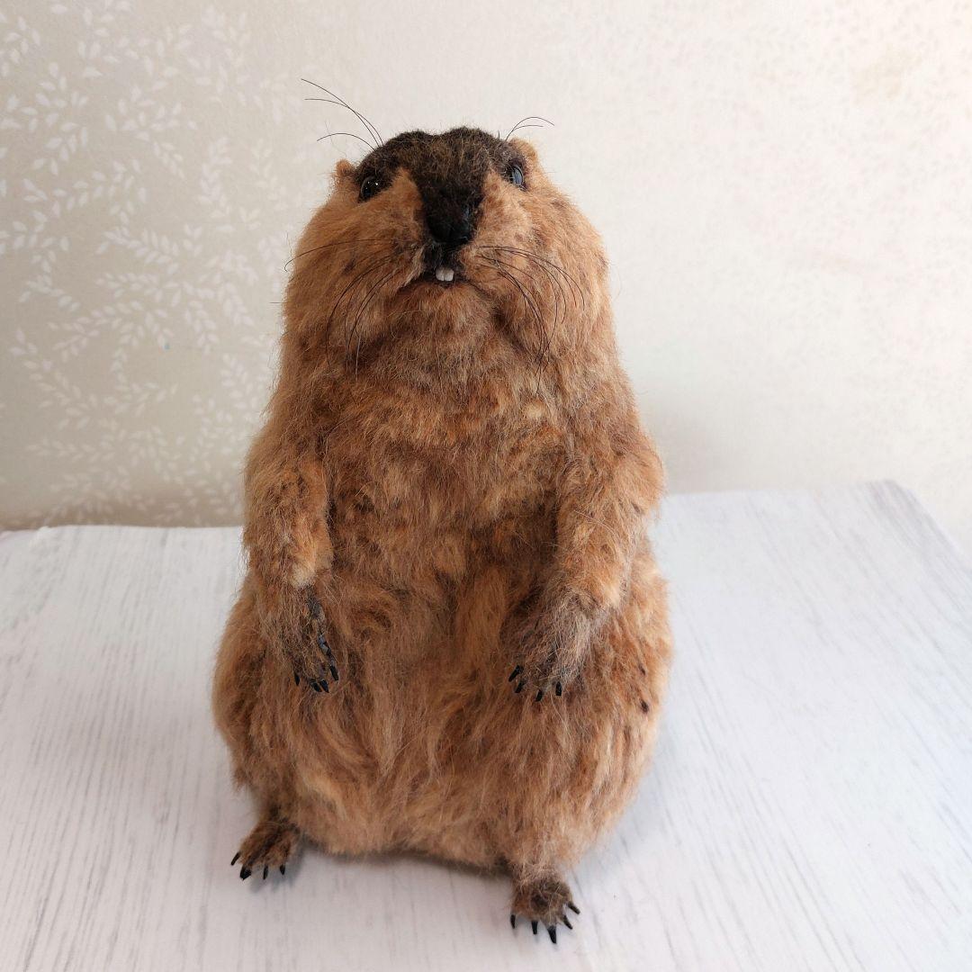 羊毛フェルト　マーモット