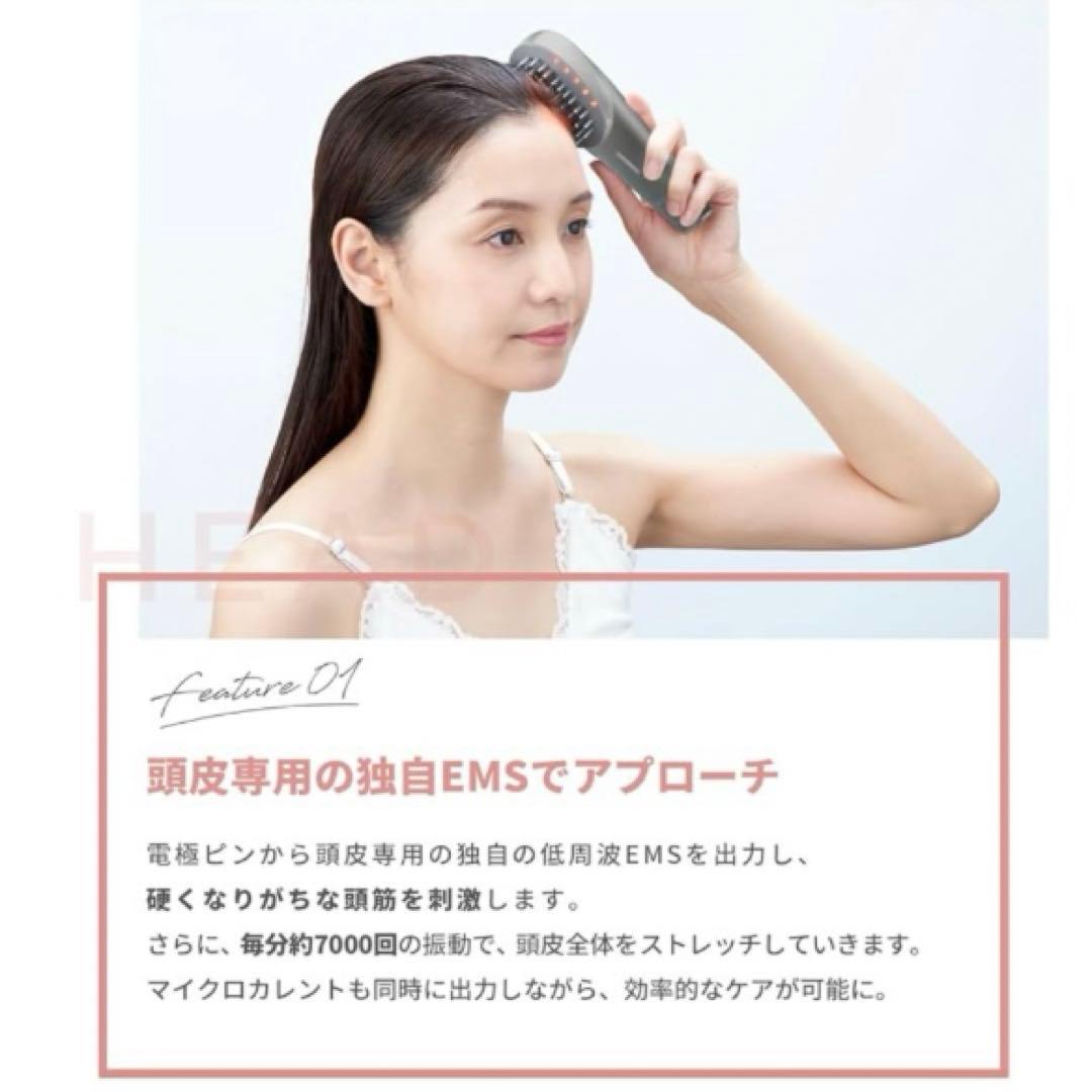 YA-MAN ミーゼ スカルプリフト