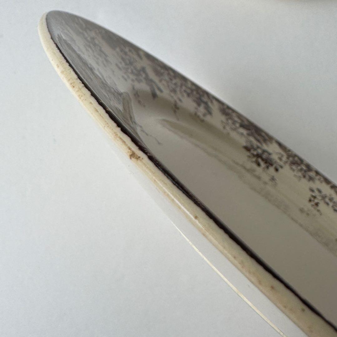 フランスアンティーク　サルグミンヌ　ALPHAND ディナープレート 2枚セット