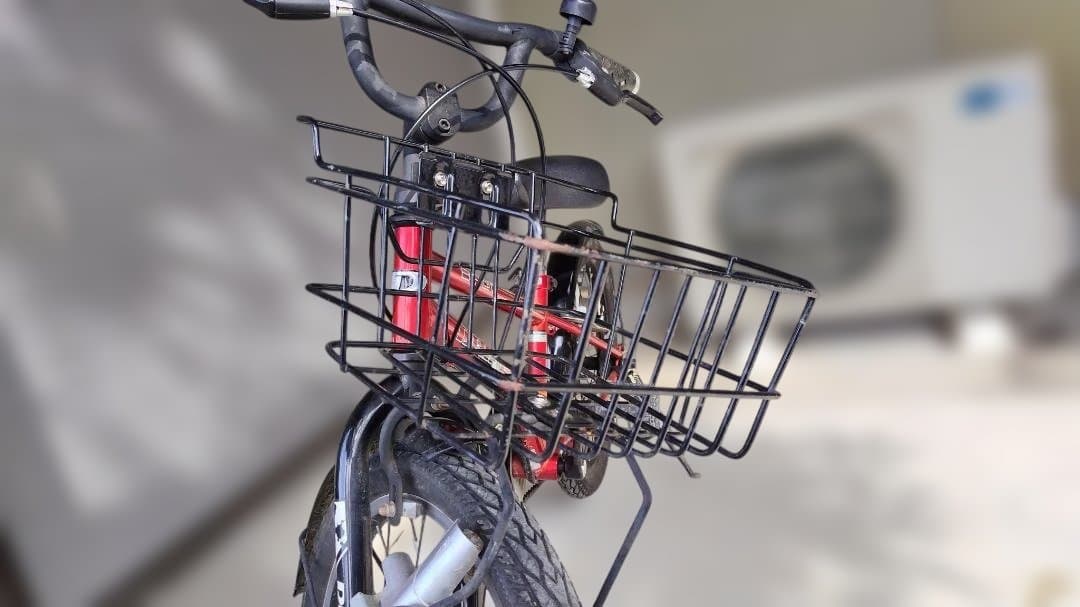 【配送可】20インチ ドライドBEAT 6段変速