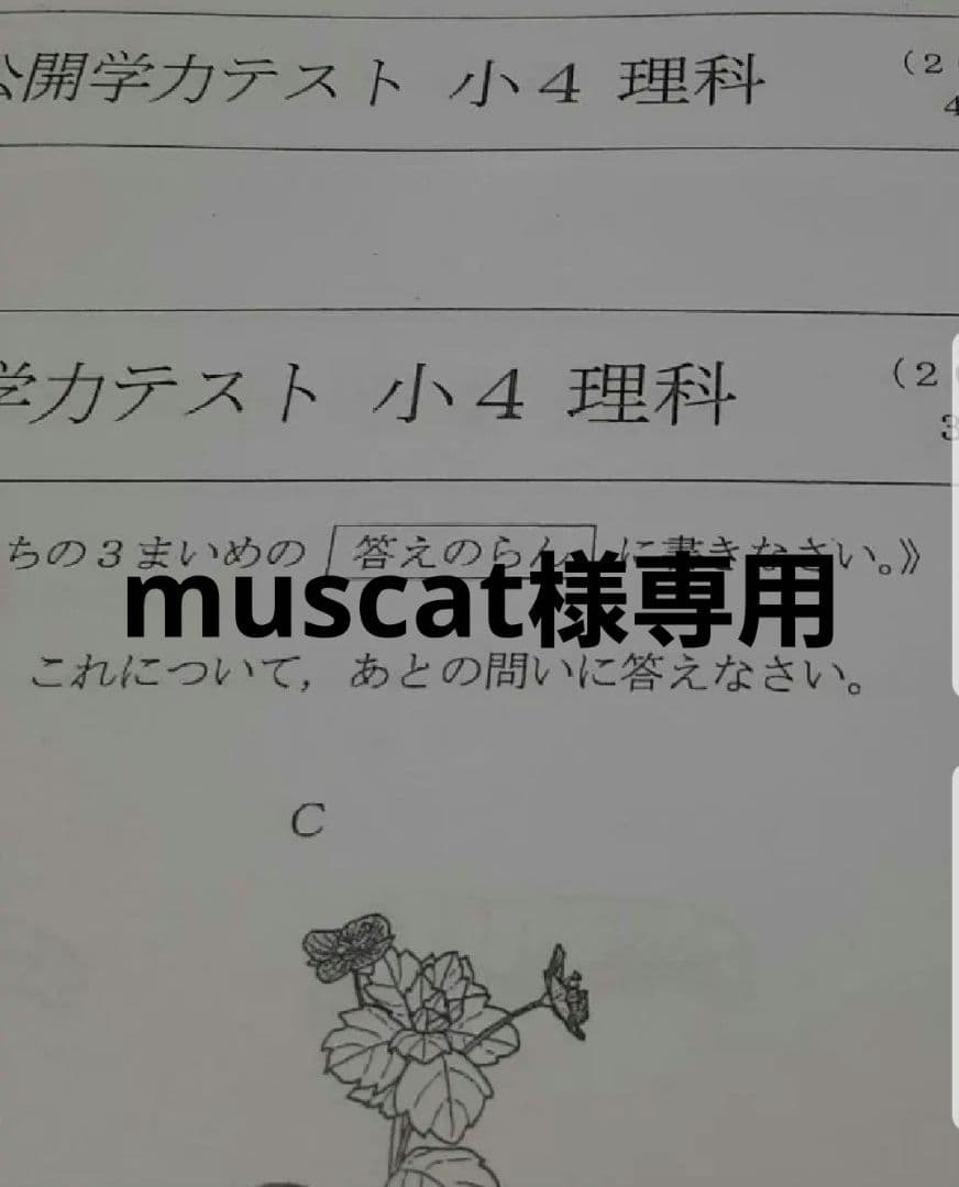 語学・辞書・学習参考書 muscat