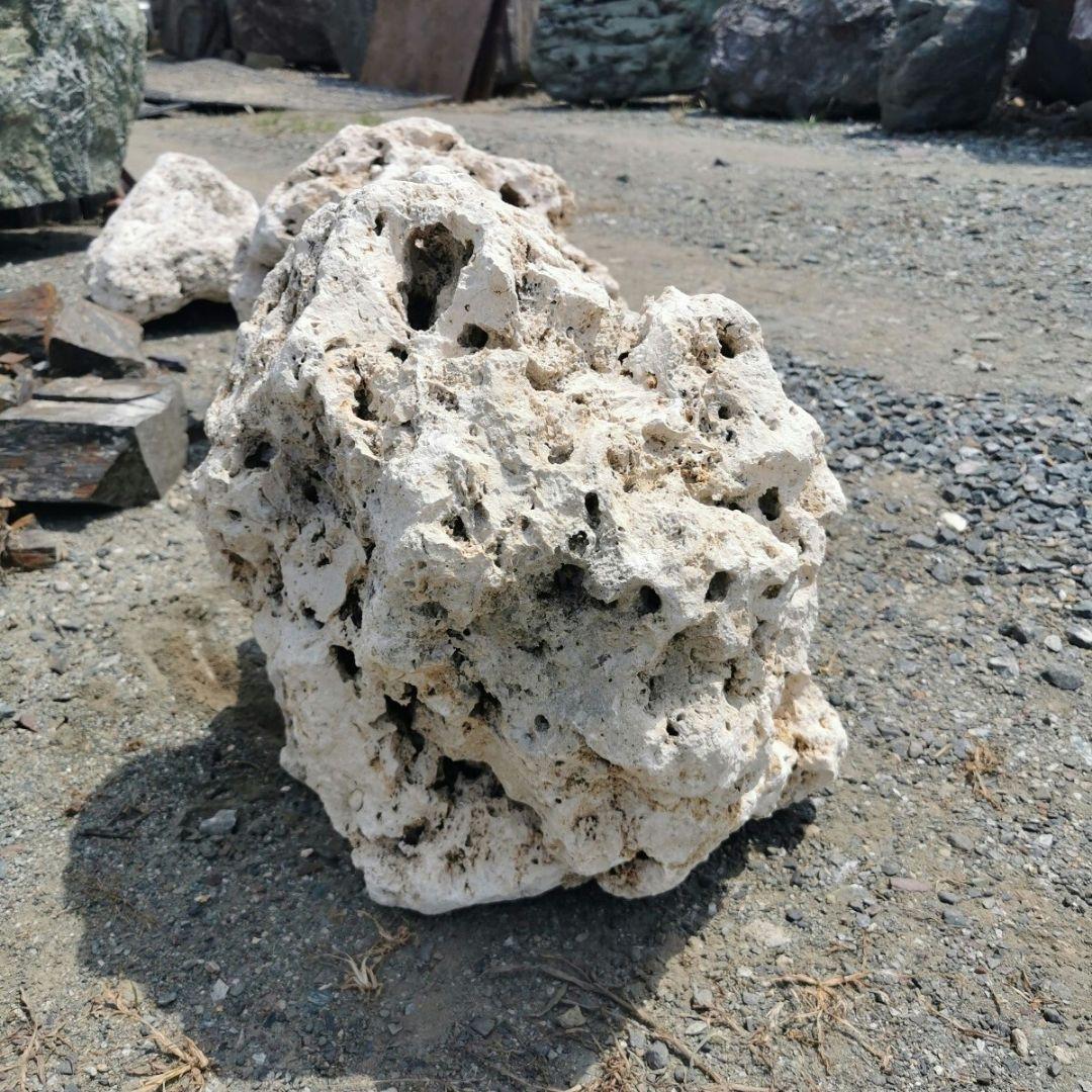 サンゴ石　88キロ　庭石　石　鑑賞石 石材　庭　ガーデニング　置物