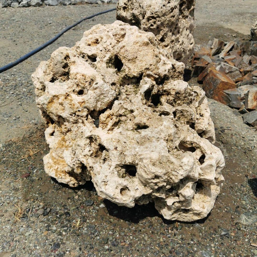 サンゴ石　88キロ　庭石　石　鑑賞石 石材　庭　ガーデニング　置物