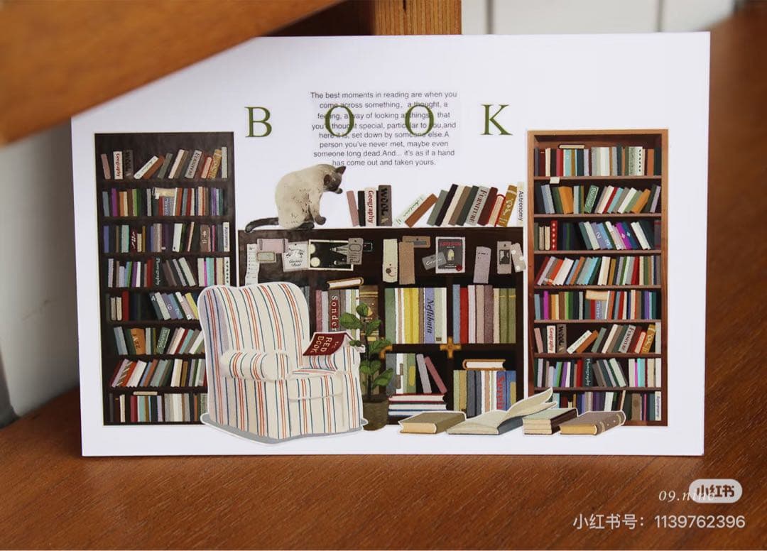 【9433】海外　5m/巻　PETマスキングテープ本棚　本　生活　装飾背景系