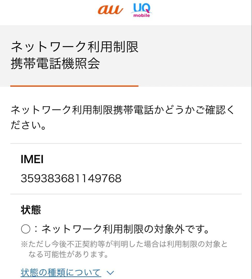 iPad本体 Apple iPad mini Wi-Fi+Cellular 256GB