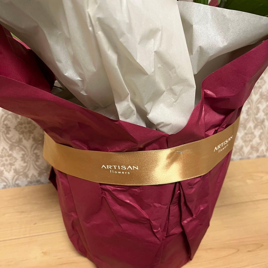 胡蝶蘭　造花　5本立て　40輪+10つぼみ　￼光触媒　高さ66cm