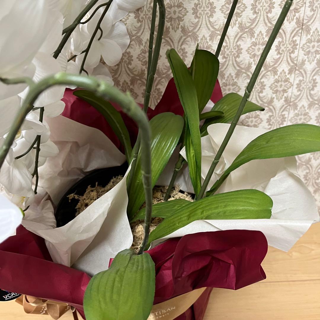 胡蝶蘭　造花　5本立て　40輪+10つぼみ　￼光触媒　高さ66cm