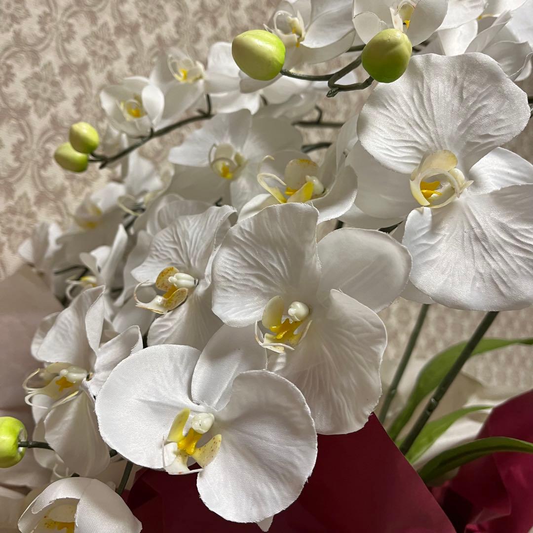 胡蝶蘭　造花　5本立て　40輪+10つぼみ　￼光触媒　高さ66cm
