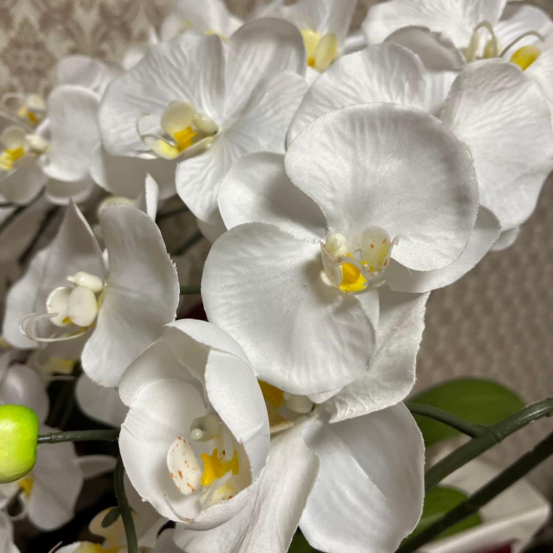 胡蝶蘭　造花　5本立て　40輪+10つぼみ　￼光触媒　高さ66cm