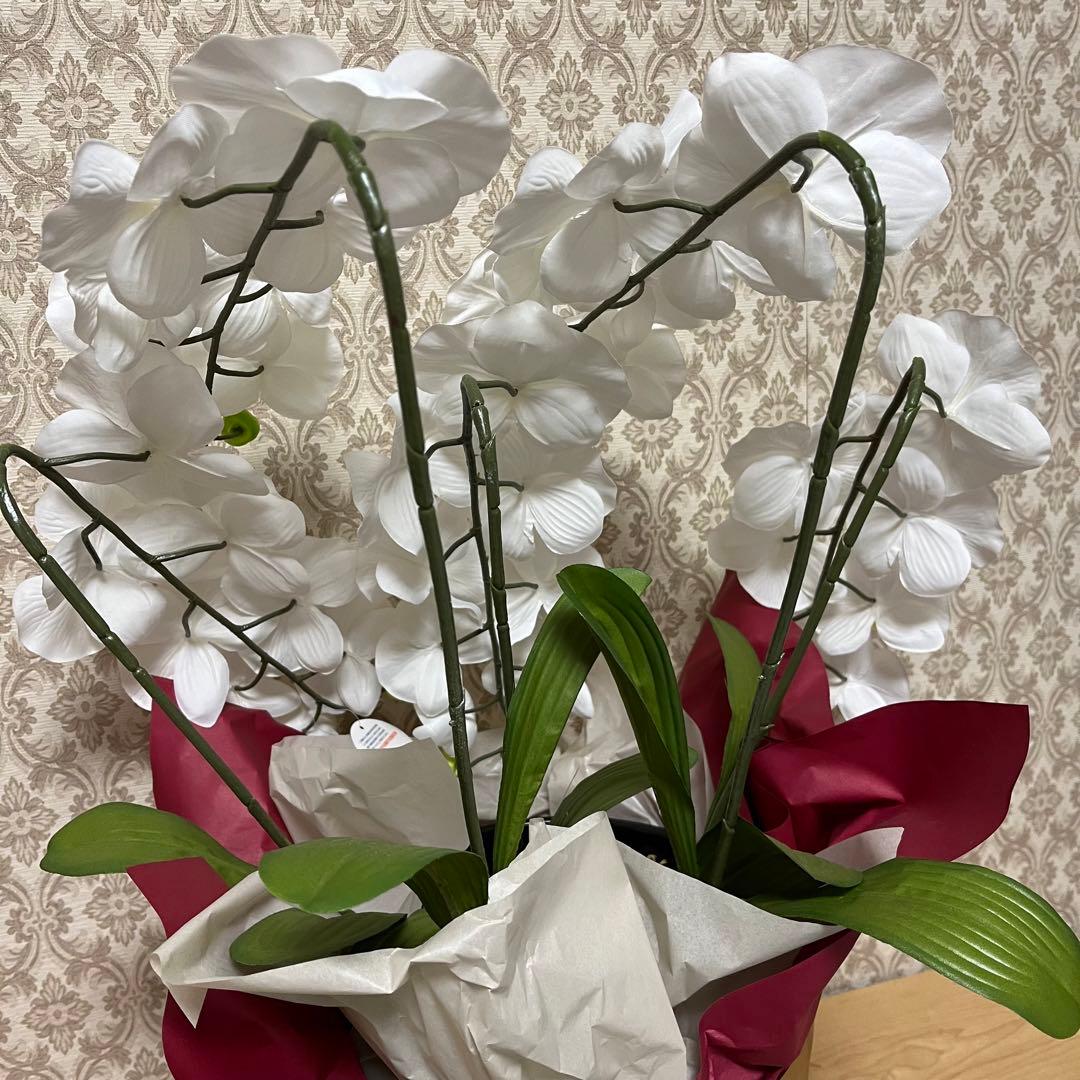 胡蝶蘭　造花　5本立て　40輪+10つぼみ　￼光触媒　高さ66cm