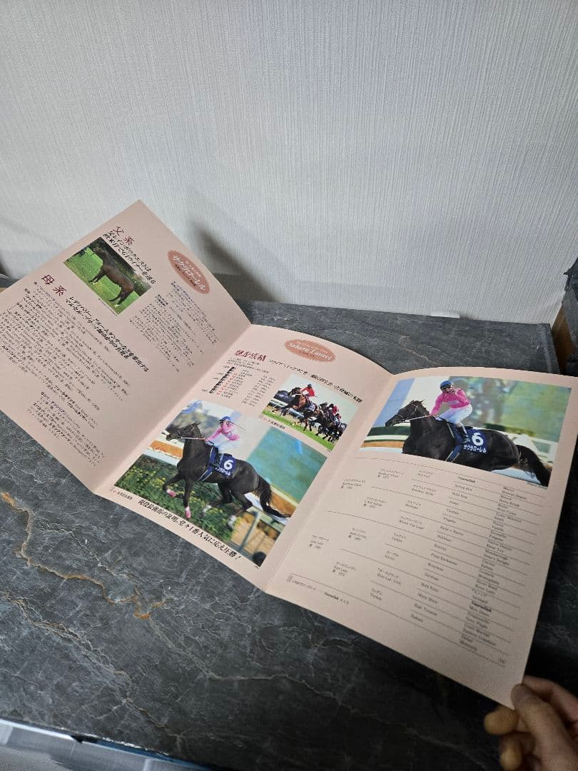 ロビンページです。