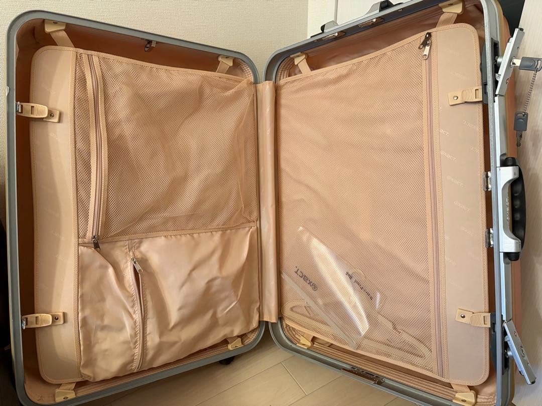 【USED】ACE exact. 大型キャリーケース