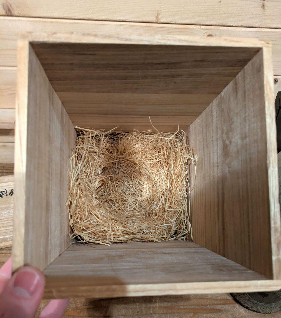 人間国宝　島岡達三　地釉象嵌縄文壺　壺　花瓶　花器　アンティーク　骨董品