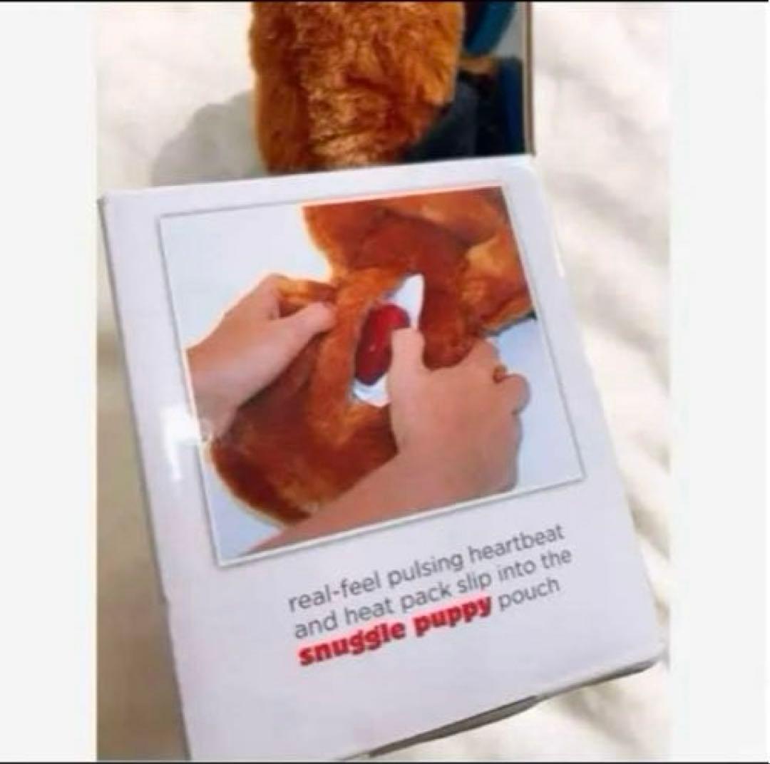 オ-エフティ- コンパニマル ブルドック