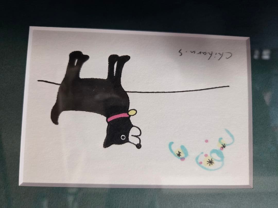 坂崎千春　直筆　イラスト