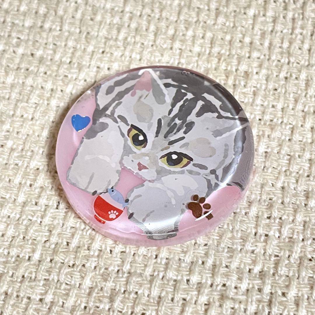 2577. 【大】レジンポニーフック・ヘアゴム・ブローチ・マグネット