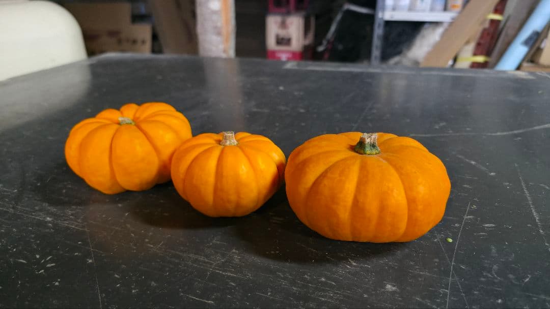 【新鮮収穫】ミニバラさま　150個