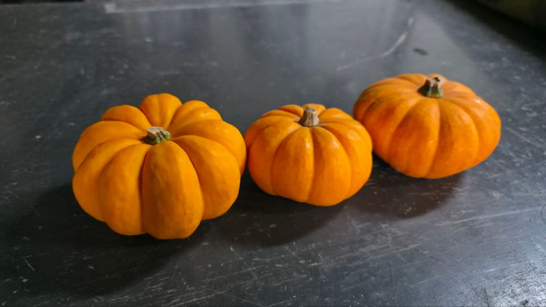 【新鮮収穫】ミニバラさま　150個