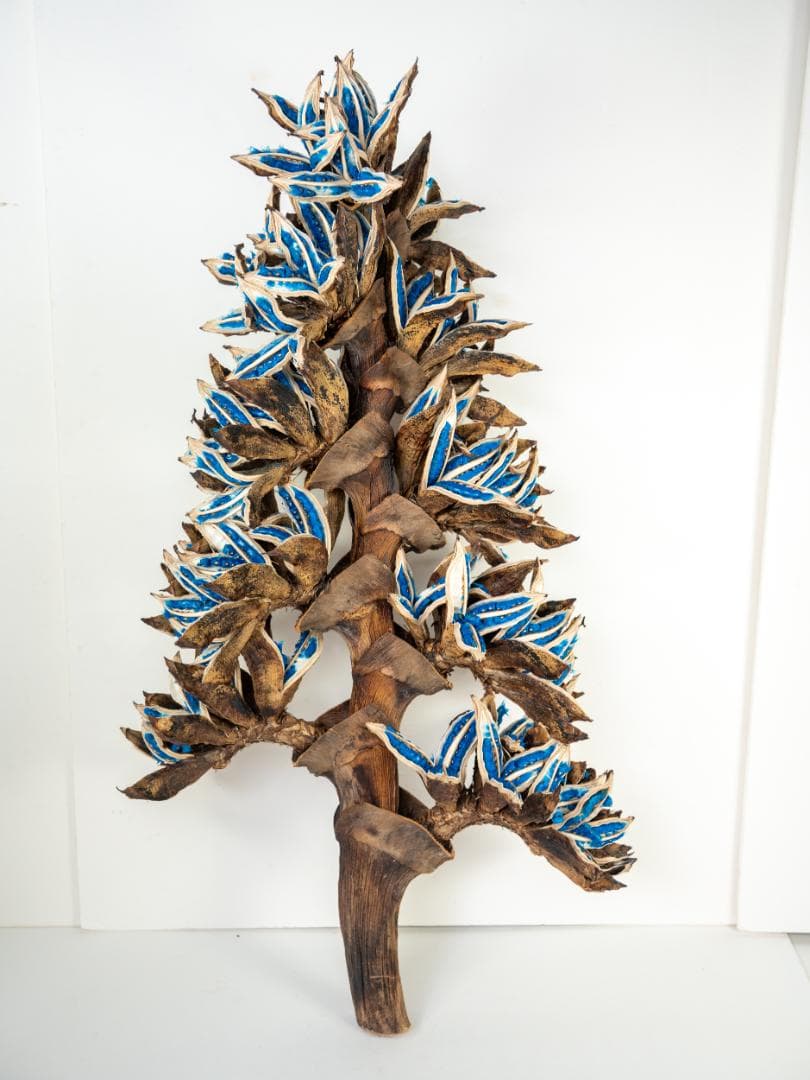 タビビトノキ 青い種 丸ごと 訳あり 6 旅人の木 オオギバショウ 種子