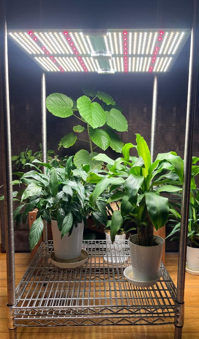 植物育成ライト　フルスペクトル　LED グロウライト　静音　調光　育成灯　アガベ