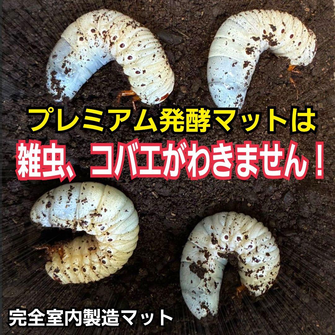 極上！プレミアム3次発酵カブトムシマット【40L】ヘラクレス181ミリ羽化実績！