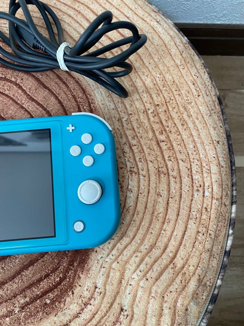 Nintendo Switch Lite ターコイズ本体　箱無し