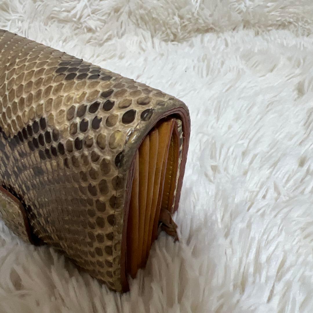 isolaパイソン財布　本革　ジャバラ　コロコロ財布　アイソラ