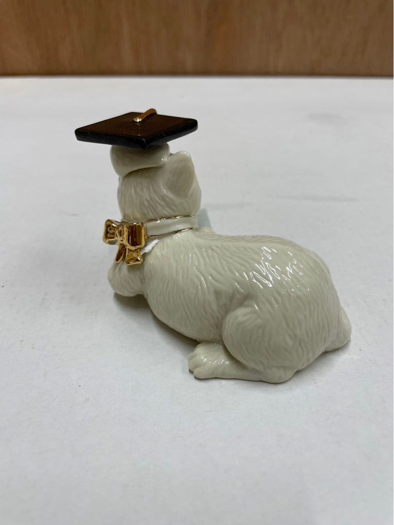 レノックス猫  ( 卒業 ) Graduation Day Kitty