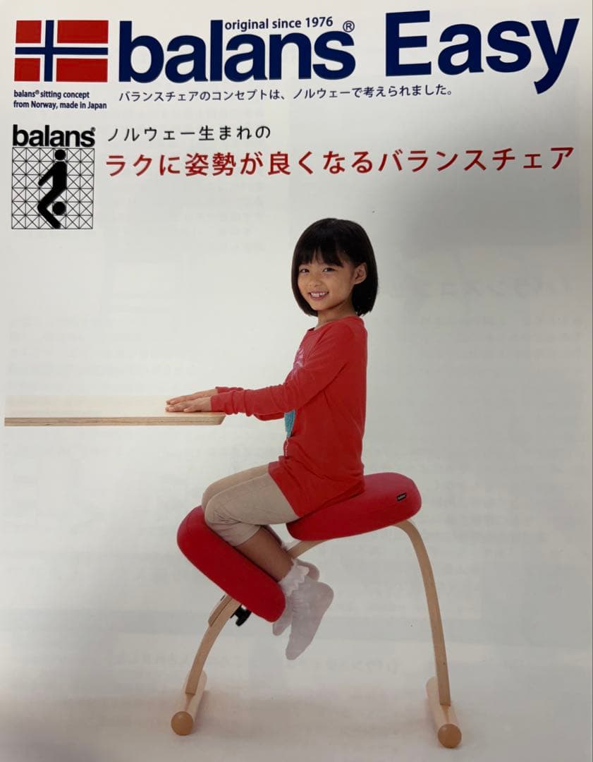 【MIYUさん専用】バランスチェア　balans Easy 赤