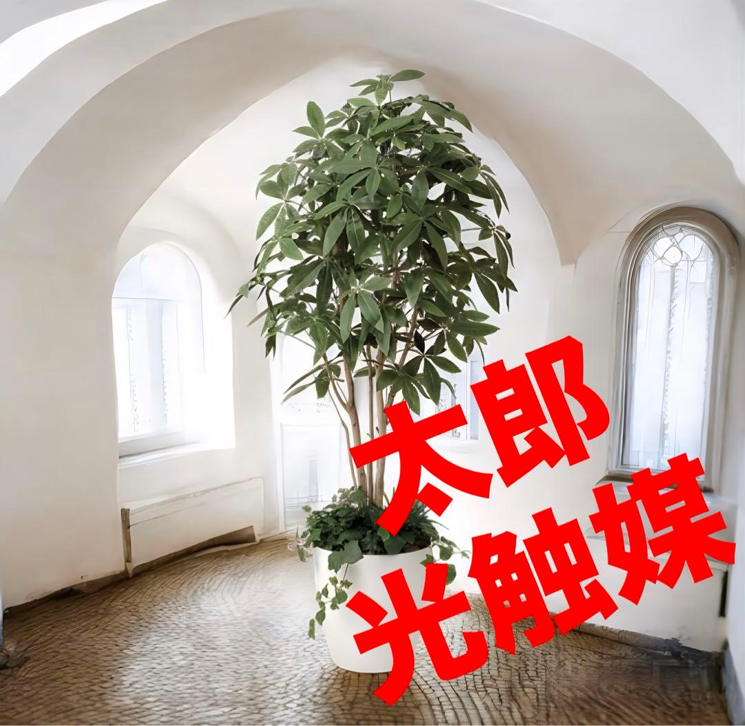 光触媒　人工観葉植物　フェイクグリーン　パキラ（植栽付） 高さ 1.8ｍ