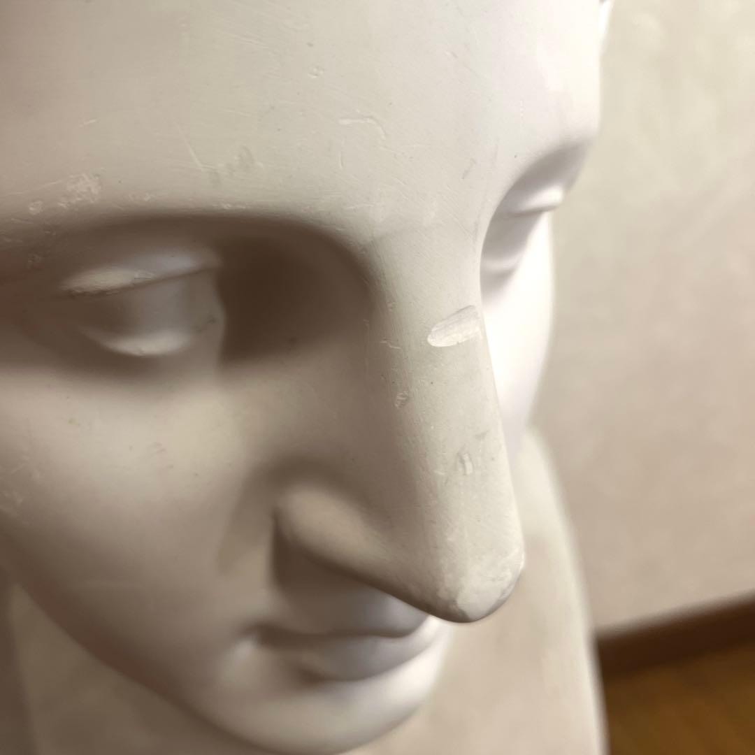 ミロのヴィーナス 石膏像 胸像 美術 デッサン オブジェ 置物