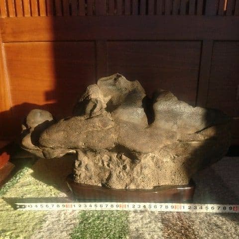 秩父産亀甲石 鑑賞石 置物 オブジェ インテリア 原石 縁起物