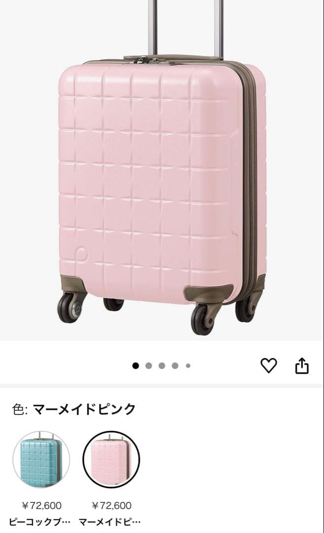 さ*い様 最終価格‼️【1回使用極美品】プロテカ スーツケース 360T 22L