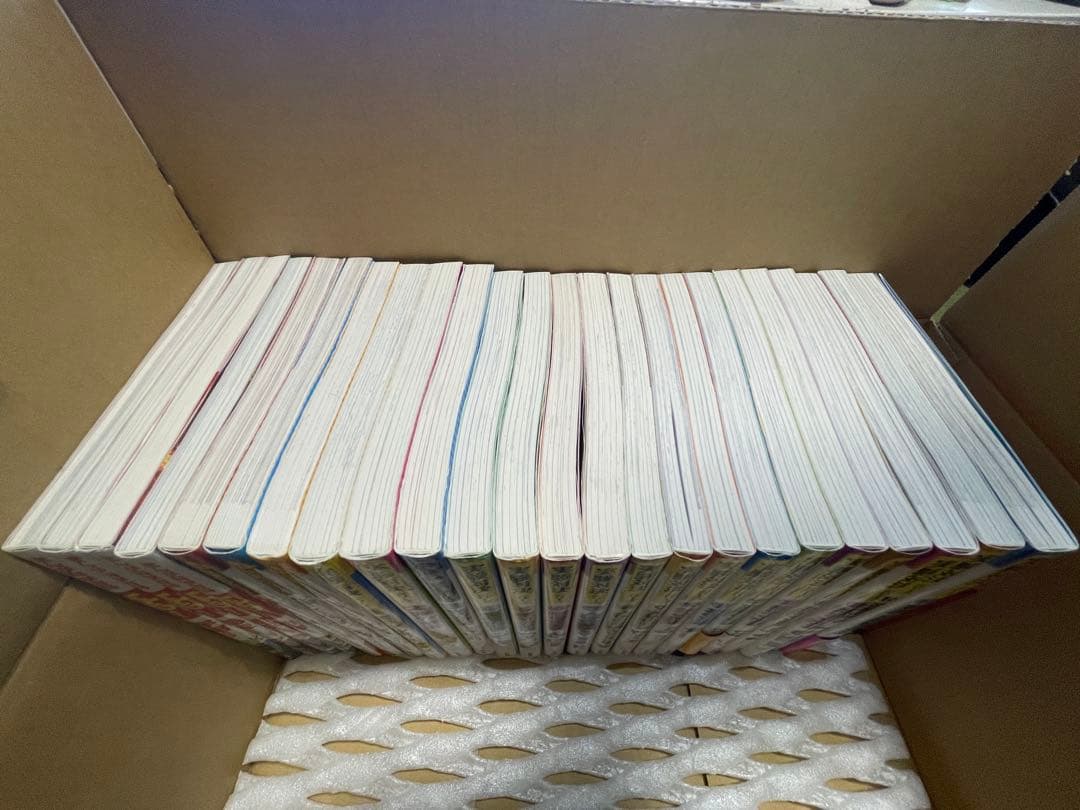 実験対決シリーズ①〜⑰＋サバイバルシリーズ①〜③＋Why？シリーズ4冊　計24冊