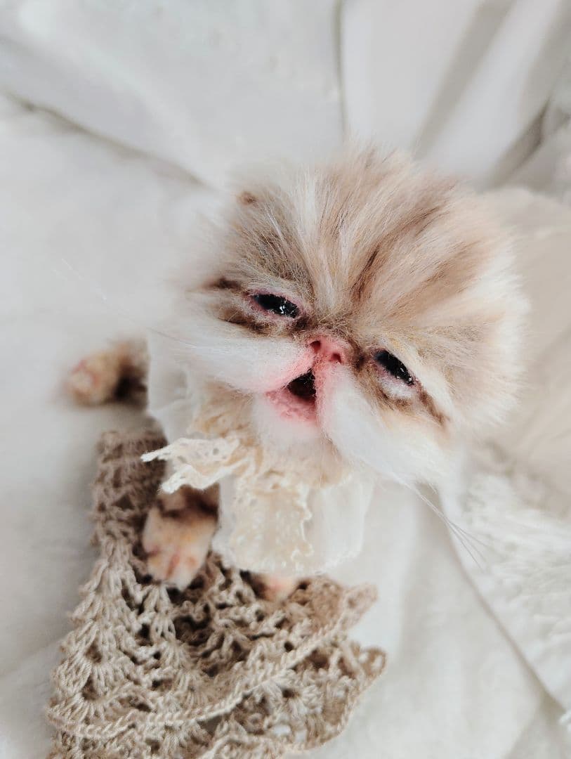 pecochan様御予約❤生後8日子猫ちゃん♡本当にミルク飲めるよ♡ちー出ます♡