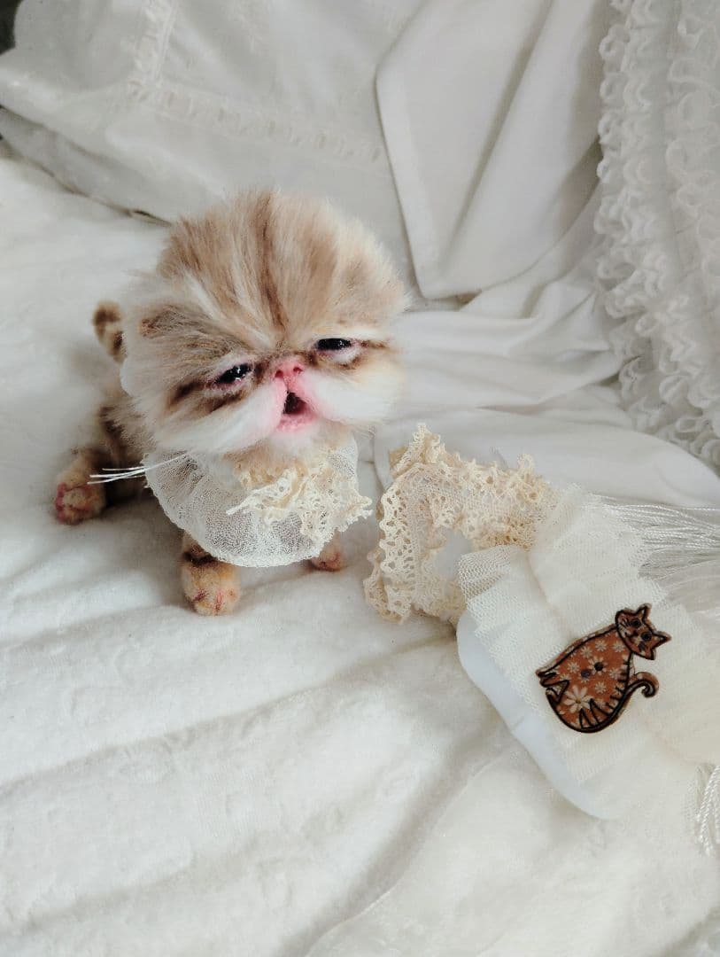 pecochan様御予約❤生後8日子猫ちゃん♡本当にミルク飲めるよ♡ちー出ます♡