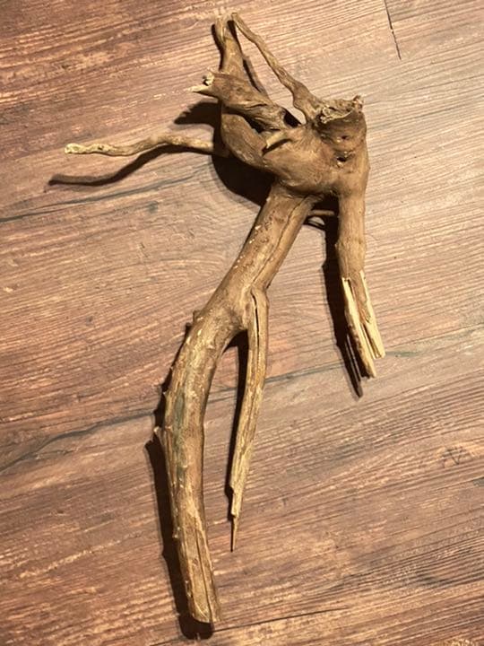 天然物 EVA系 人型 使徒 木製 デザイン インテリア