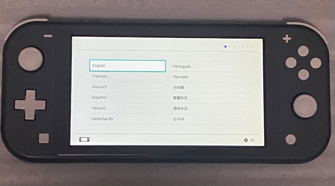 Nintendo Switch Lite 本体 グレー ＋ 周辺機器