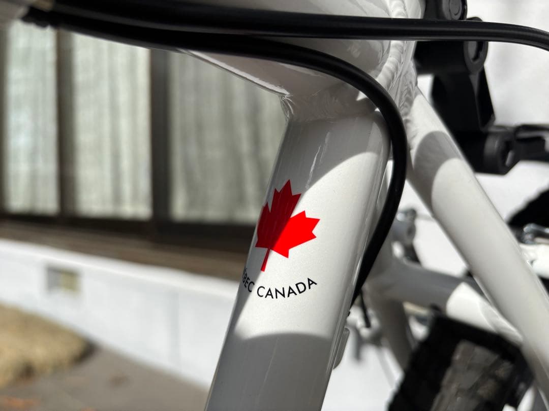 ラ*ー様 【送料込み】マウンテンバイク ルイガノ グラインド8.0 21段変速