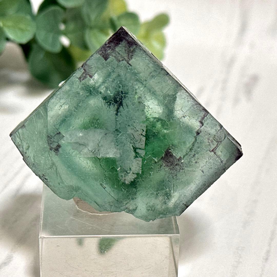 【D288】大きな結晶とゾーニング・.。*・ グリーンフローライト ナミビア