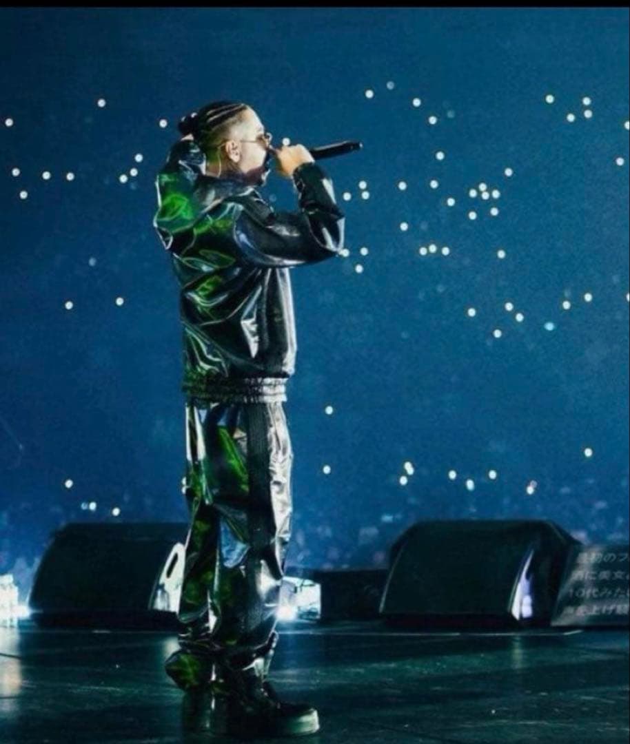 badhop着用　nubian 特注　needles パンツ　パイソン