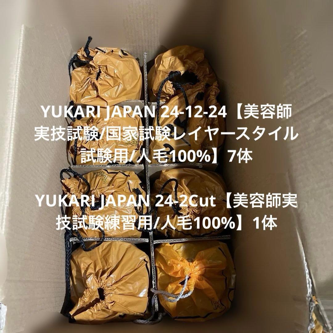 美容師国家試験　練習用　本番用　カットウィッグ　新品未使用