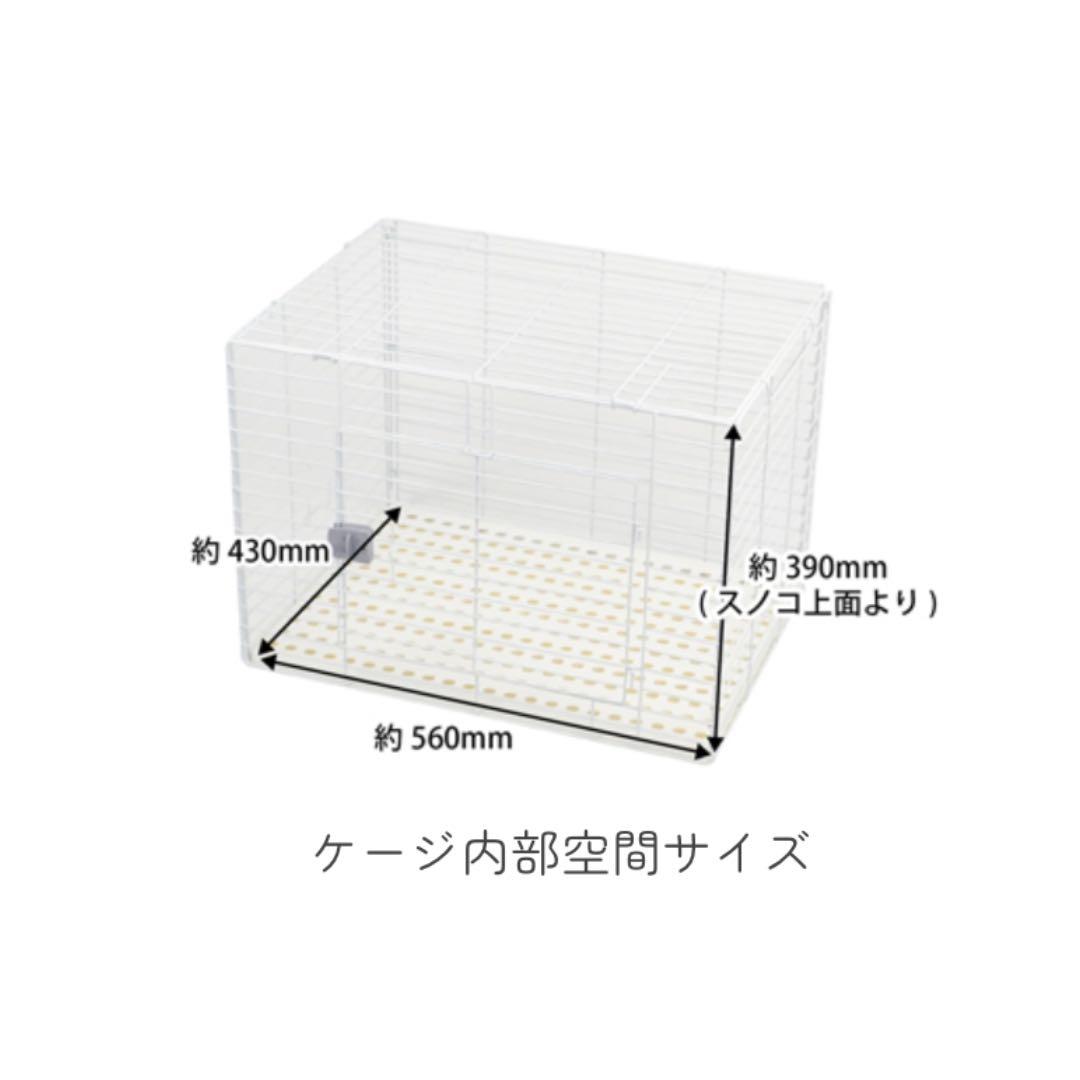 C*a様 レ*ン様 【新品/未開封】イージーホーム　エボ　６０ＢＫ